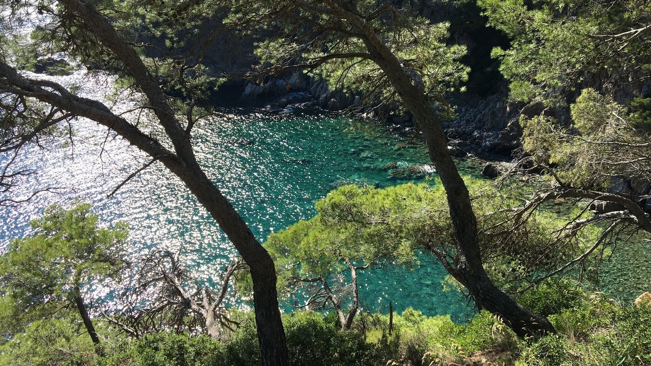 Photo of Outdoor in Vall-Llobrega
