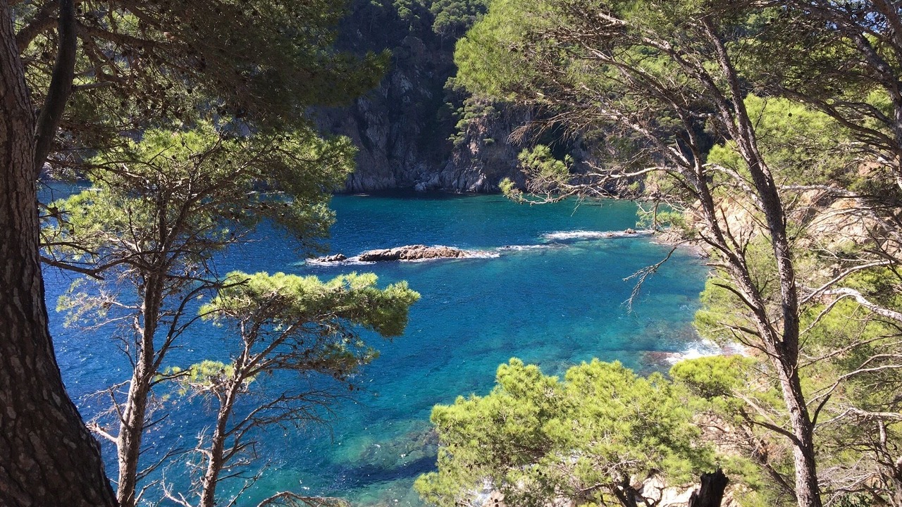 Photo of Others in Vall-Llobrega