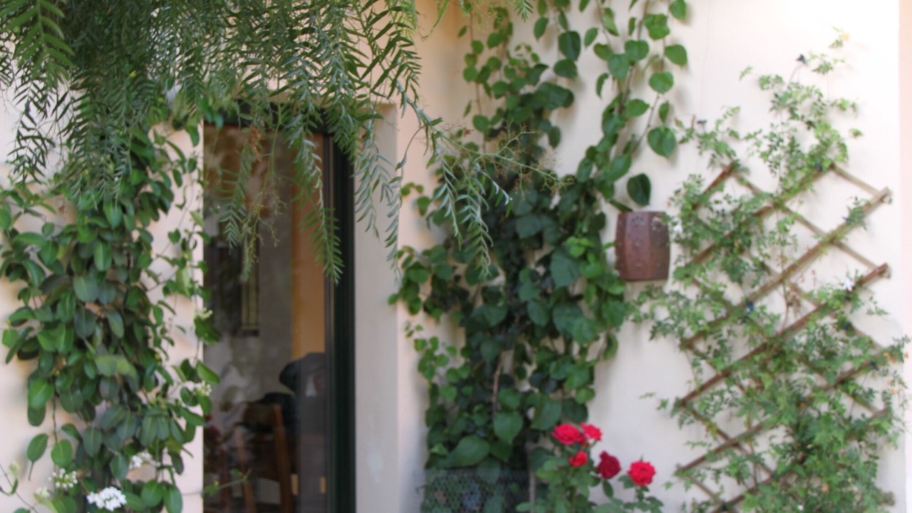 Photo of Outdoor in Vall-Llobrega