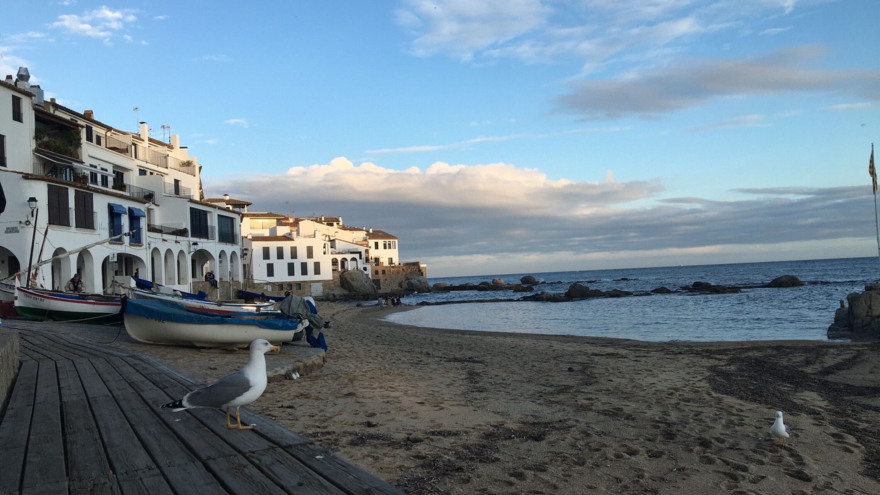 Photo of Outdoor in Vall-Llobrega