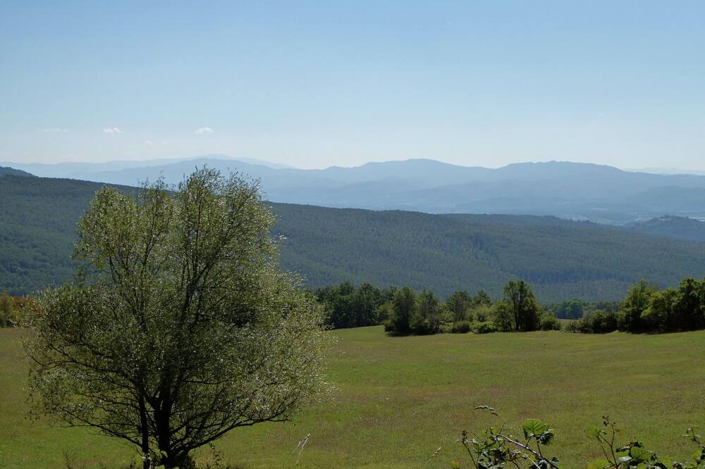 Photo of Others in Montecarelli
