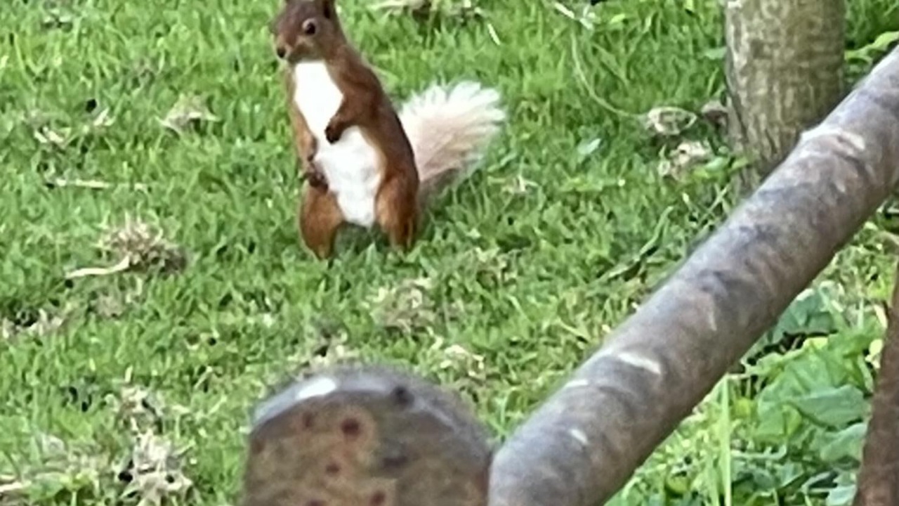 Photo of Others in Cockermouth