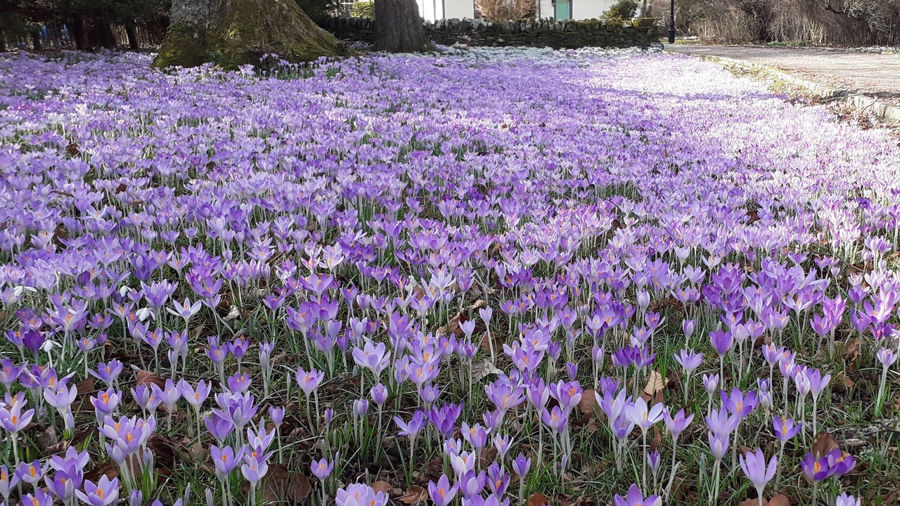 Photo of Outdoor in Strathpeffer