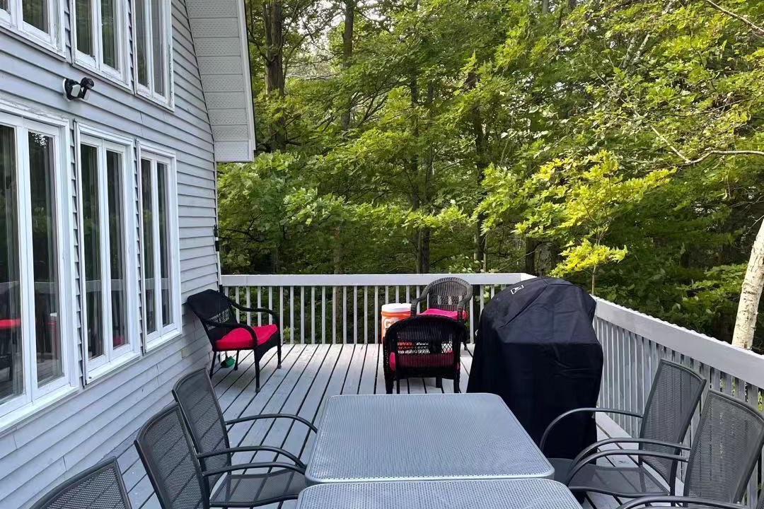 Photo of Outdoor in Lyndhurst
