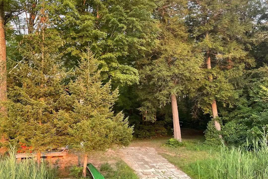 Photo of Outdoor in Lyndhurst