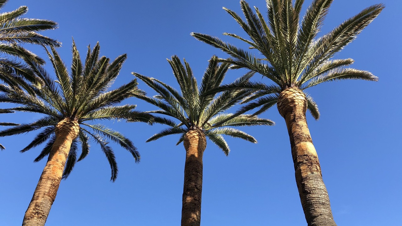 Photo of Outdoor in Santa Marinella