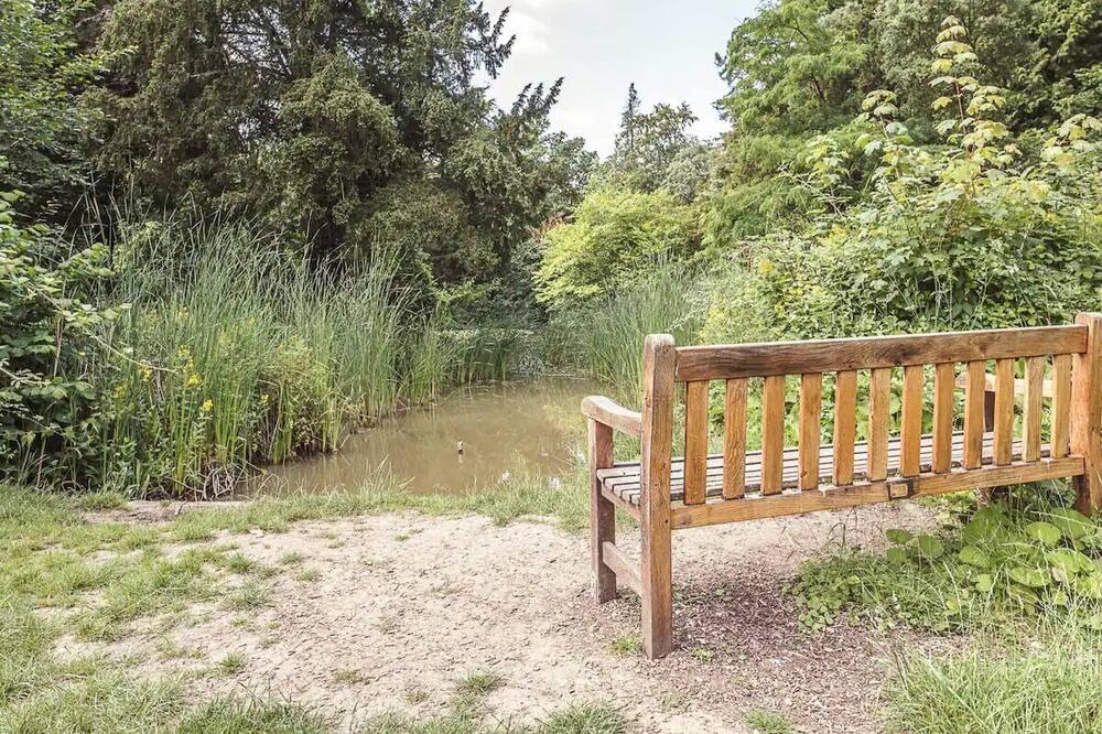 Photo of Outdoor in Bury St Edmunds