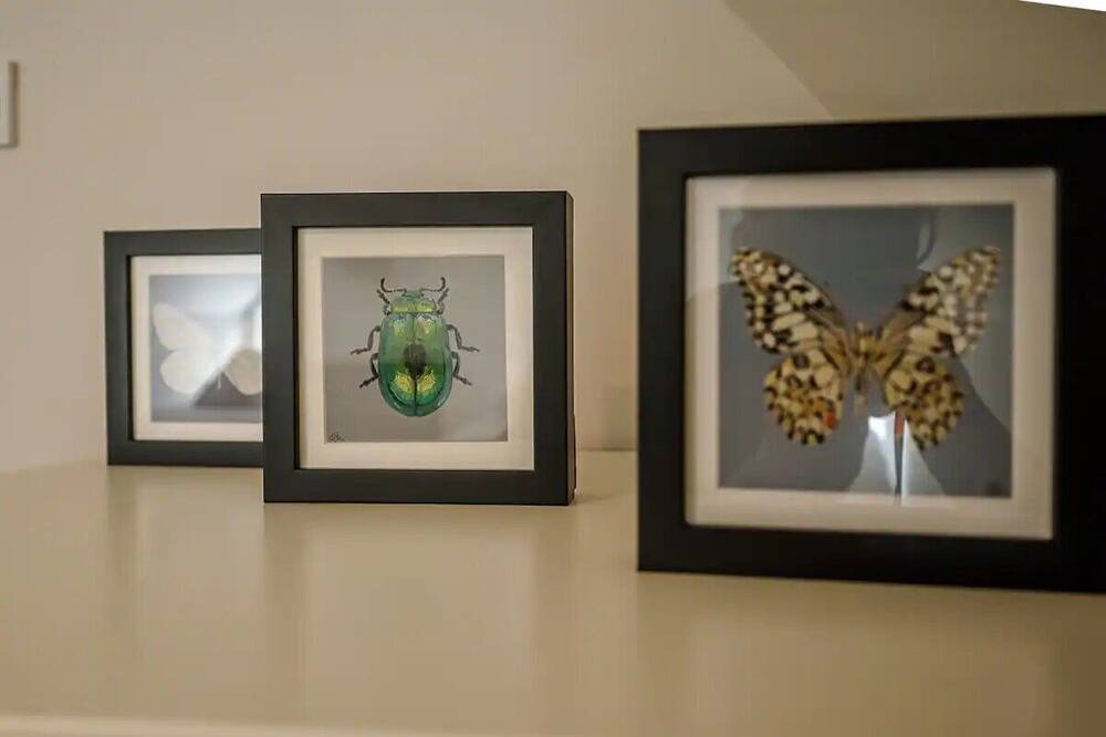 Photo of Bedroom in Bury St Edmunds