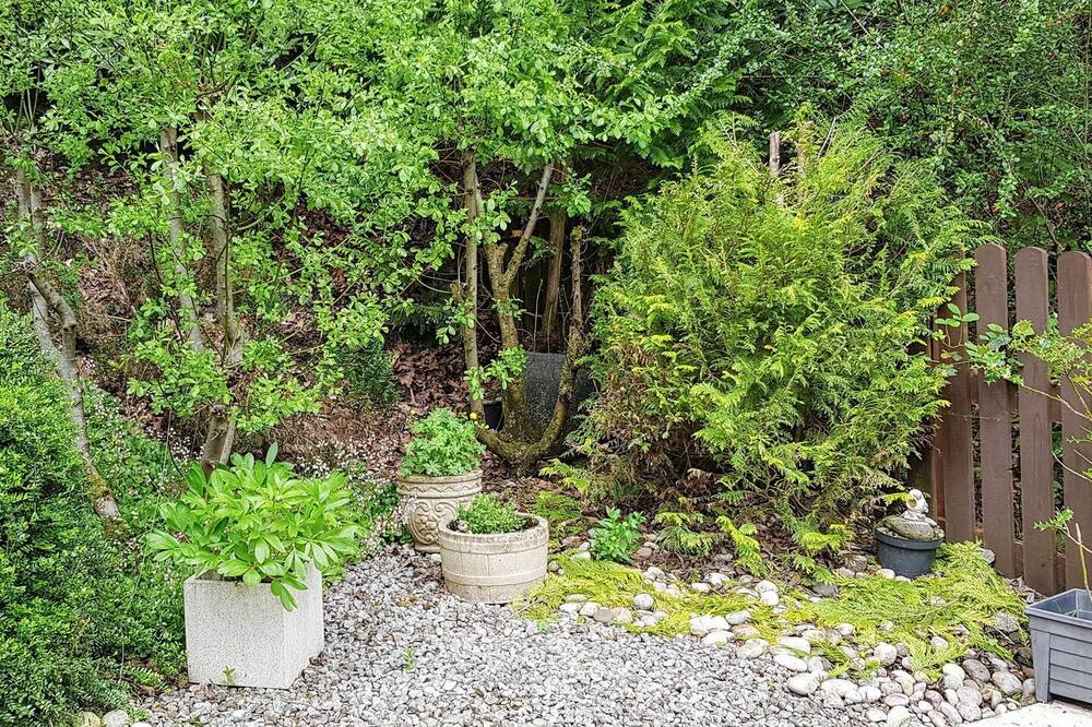 Photo of Outdoor in Aberfoyle