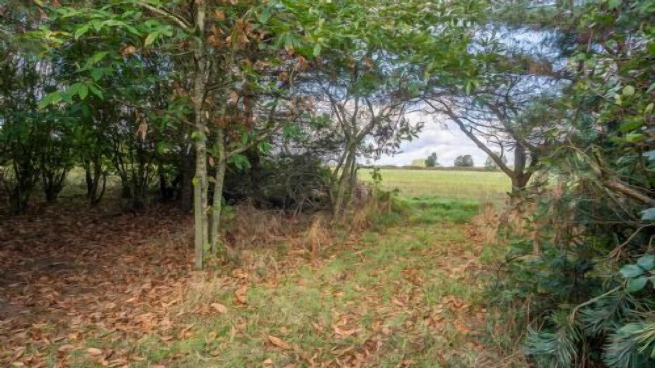 Photo of Outdoor in Colchester