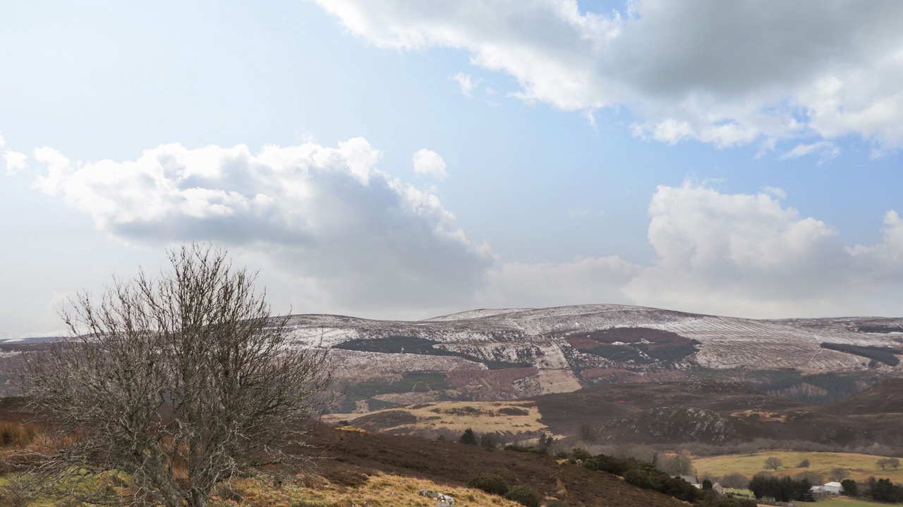 Photo of Others in Rogart