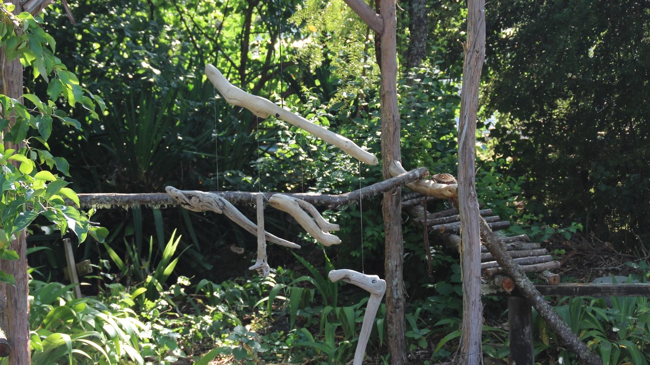 Photo of Outdoor in Murchison