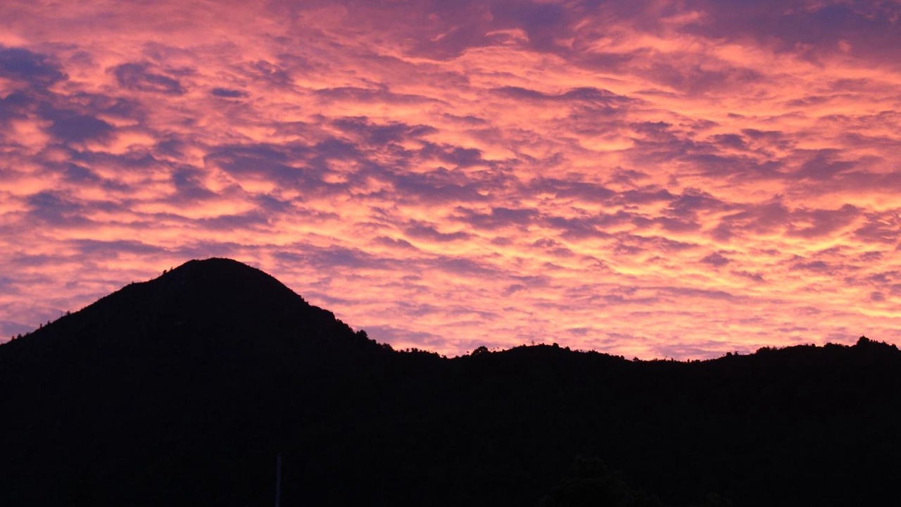 Photo of Outdoor in Murchison