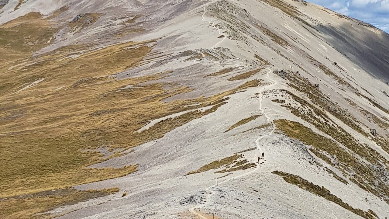 Photo of Outdoor in Murchison