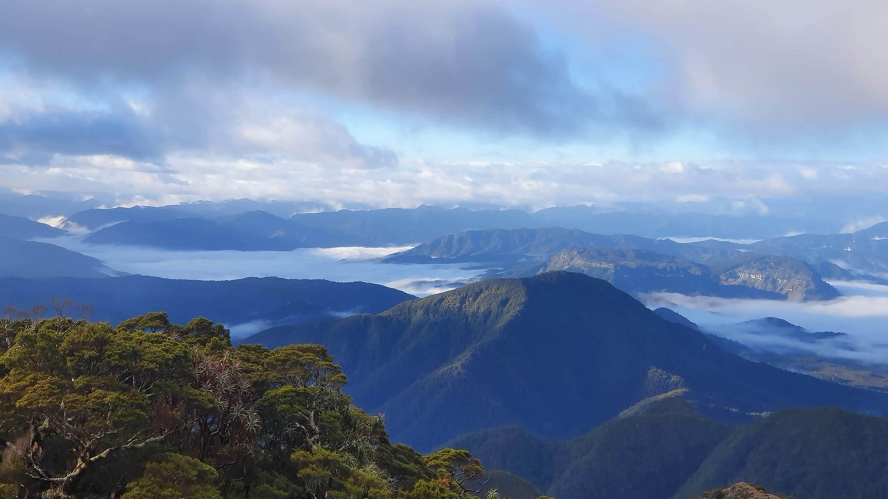 Photo of Outdoor in Murchison