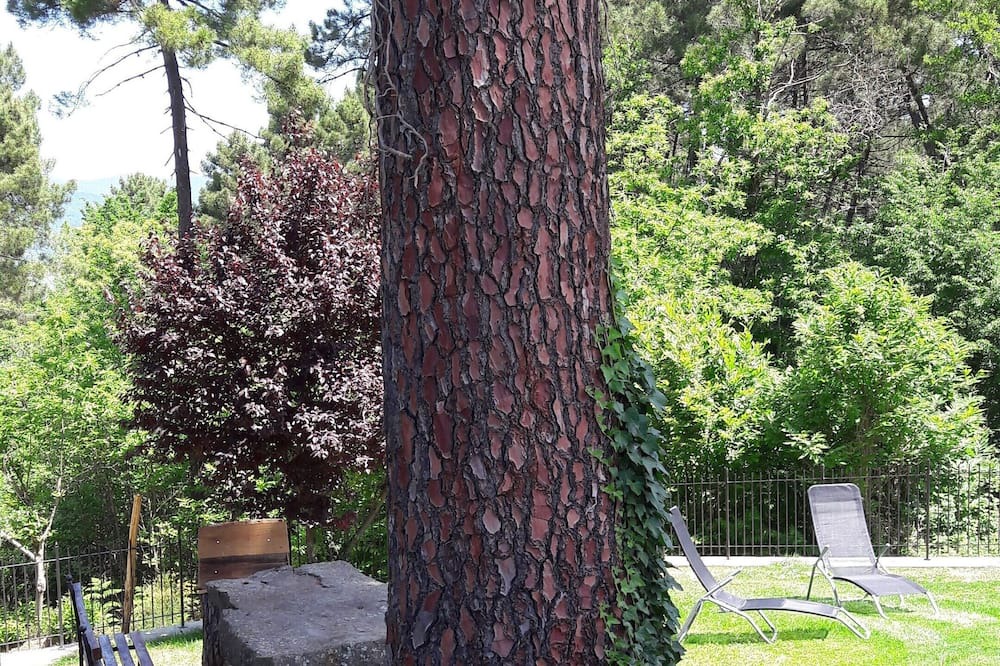 Photo of Outdoor in Porrena