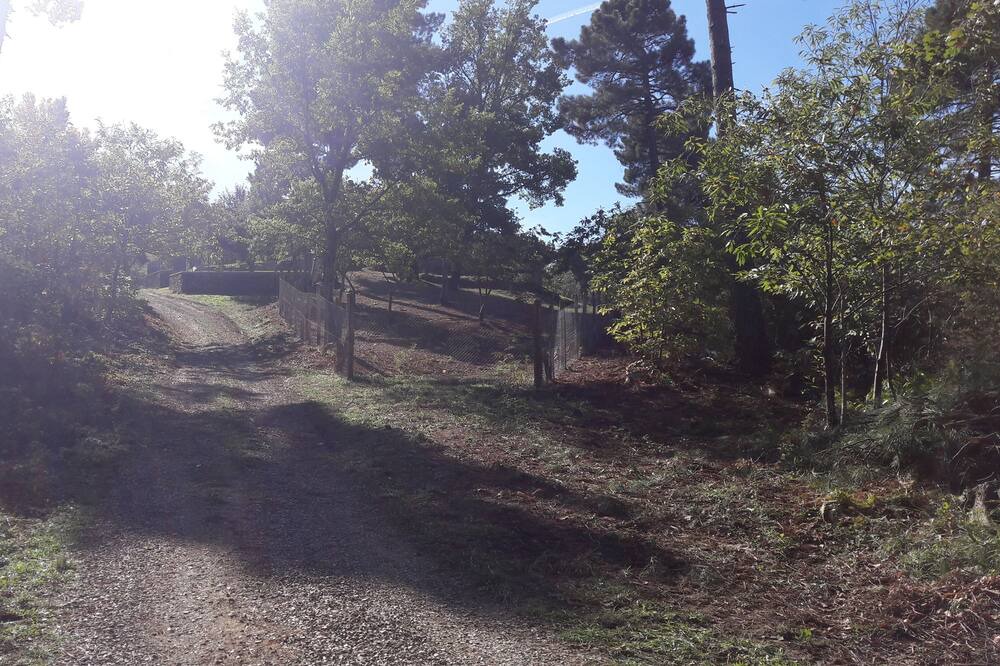 Photo of Outdoor in Porrena
