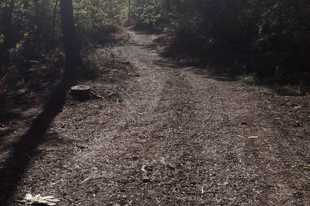 Photo of Outdoor in Porrena