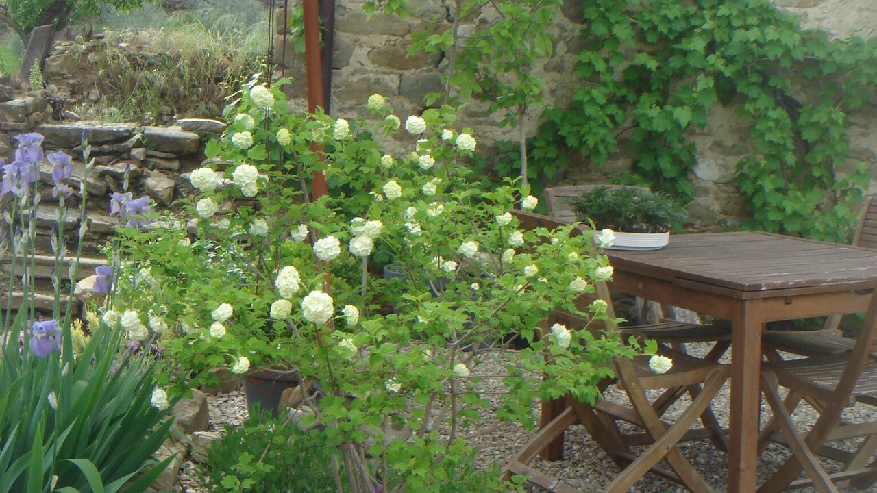 Photo of Outdoor in Monte Santa Maria Tiberina