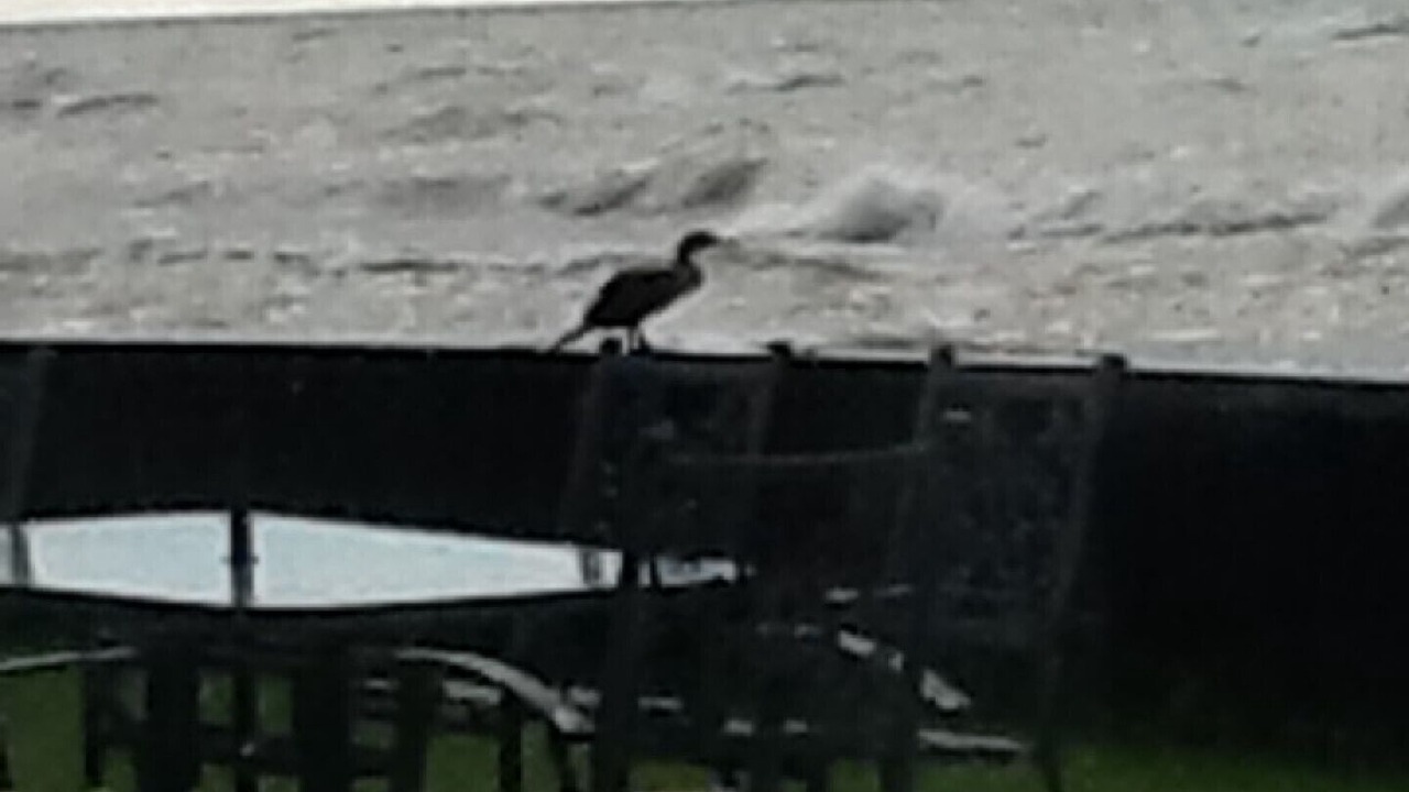 Photo of Outdoor in Town of Essex