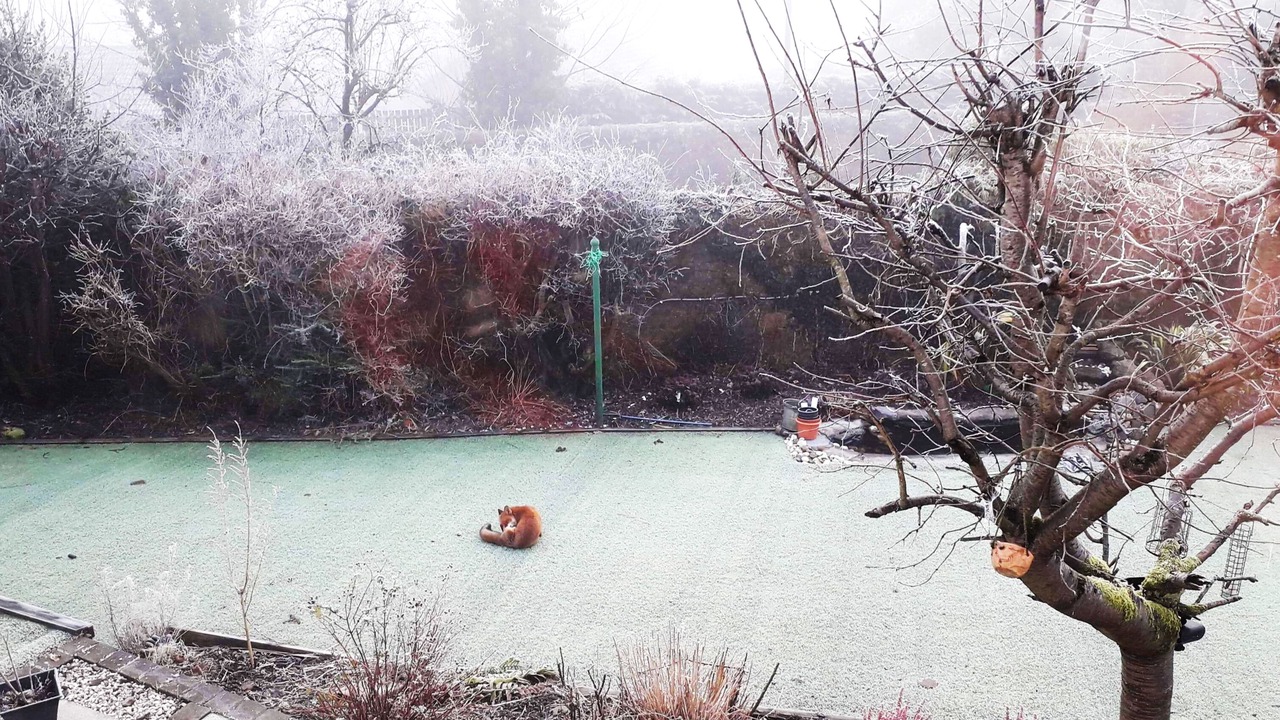 Photo of Outdoor in Barrhead