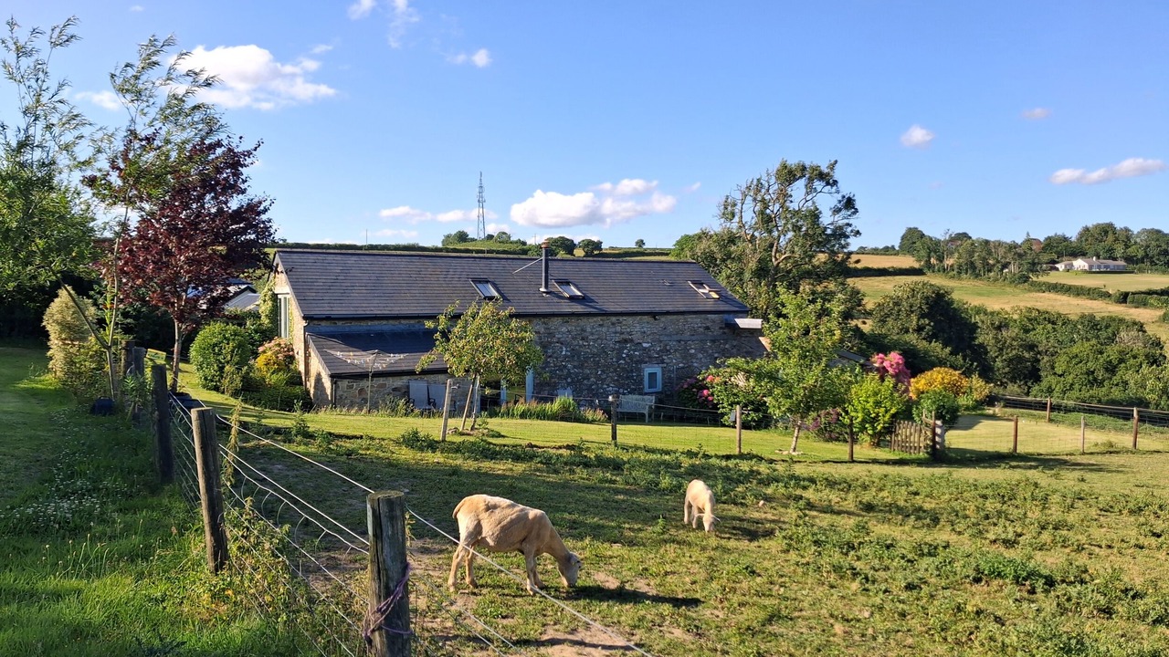 Photo of Others in Morwellham