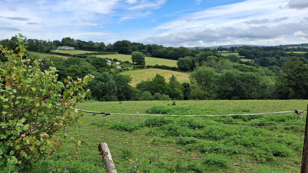 Photo of Others in Morwellham