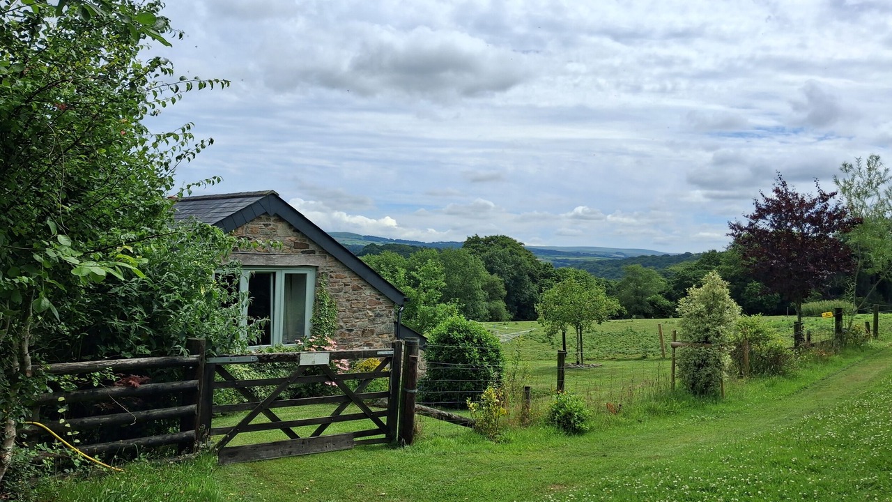Photo of Others in Morwellham