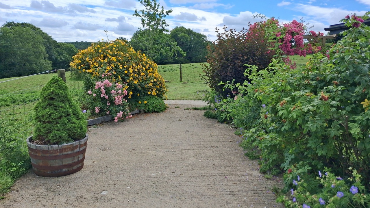 Photo of Others in Morwellham