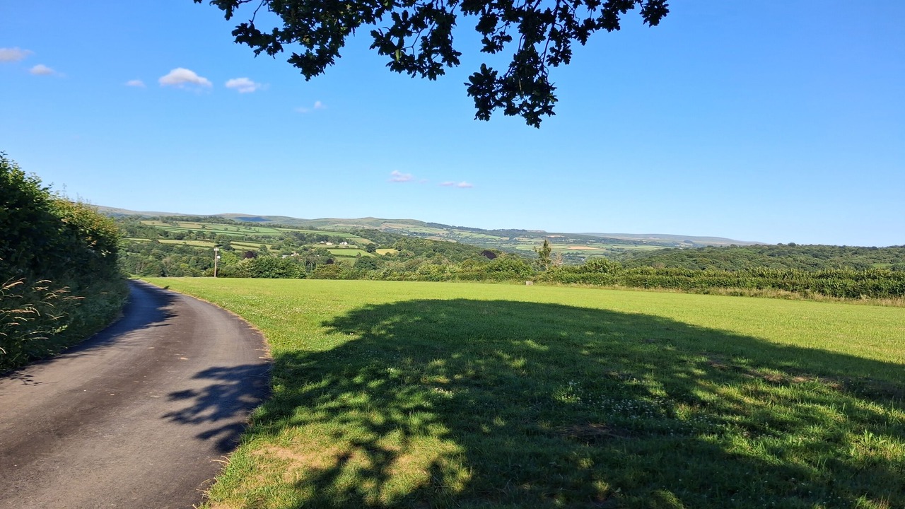 Photo of Others in Morwellham