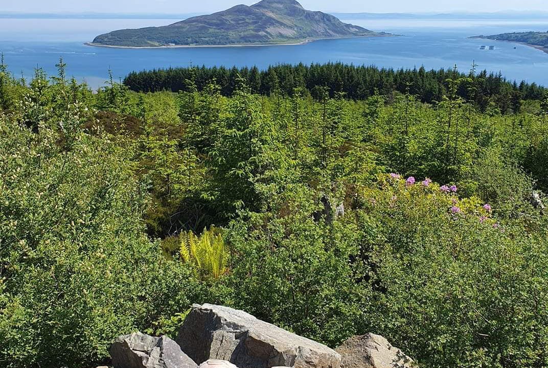 Photo of Others in Brodick