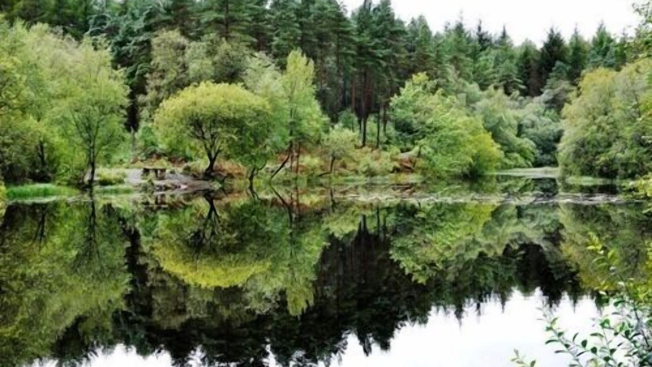 Photo of Others in New Galloway