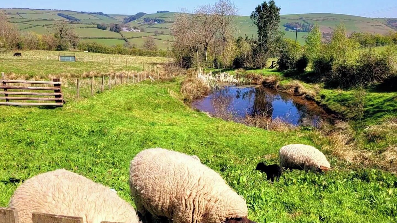 Photo of Others in Newcastle-on-Clun