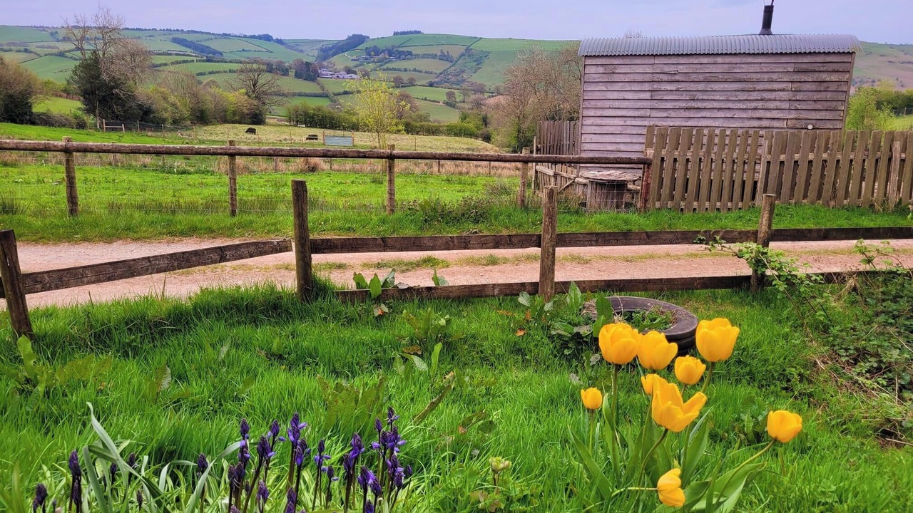 Photo of Outdoor in Newcastle-on-Clun