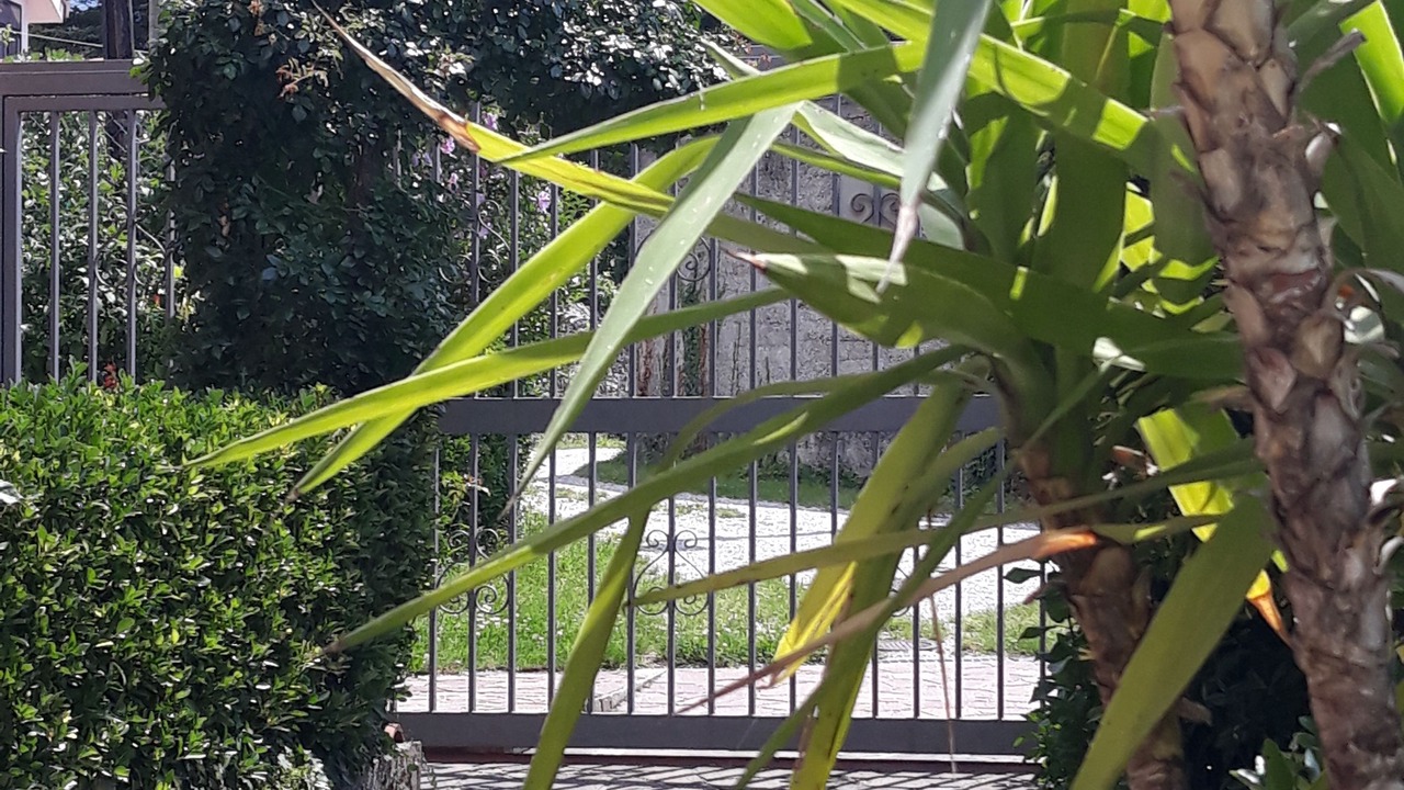 Photo of Outdoor in Altipiano Est