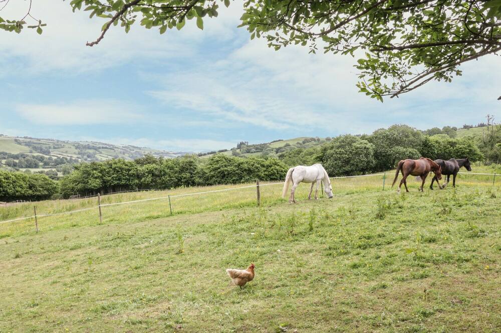 Photo of Outdoor in Felindre