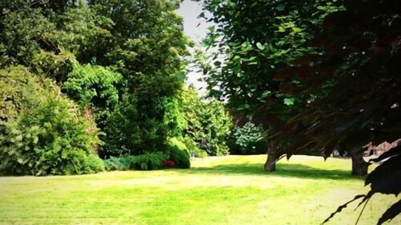 Photo of Outdoor in Paisley