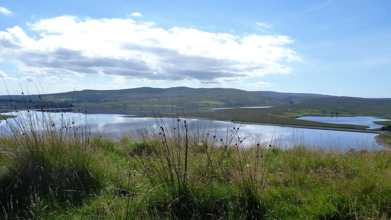 Photo of Others in Inverkip