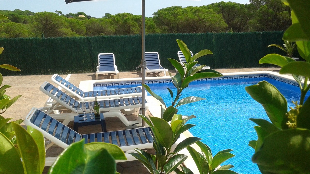 Photo of Outdoor in La Goba