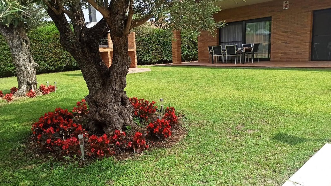 Photo of Outdoor in La Goba