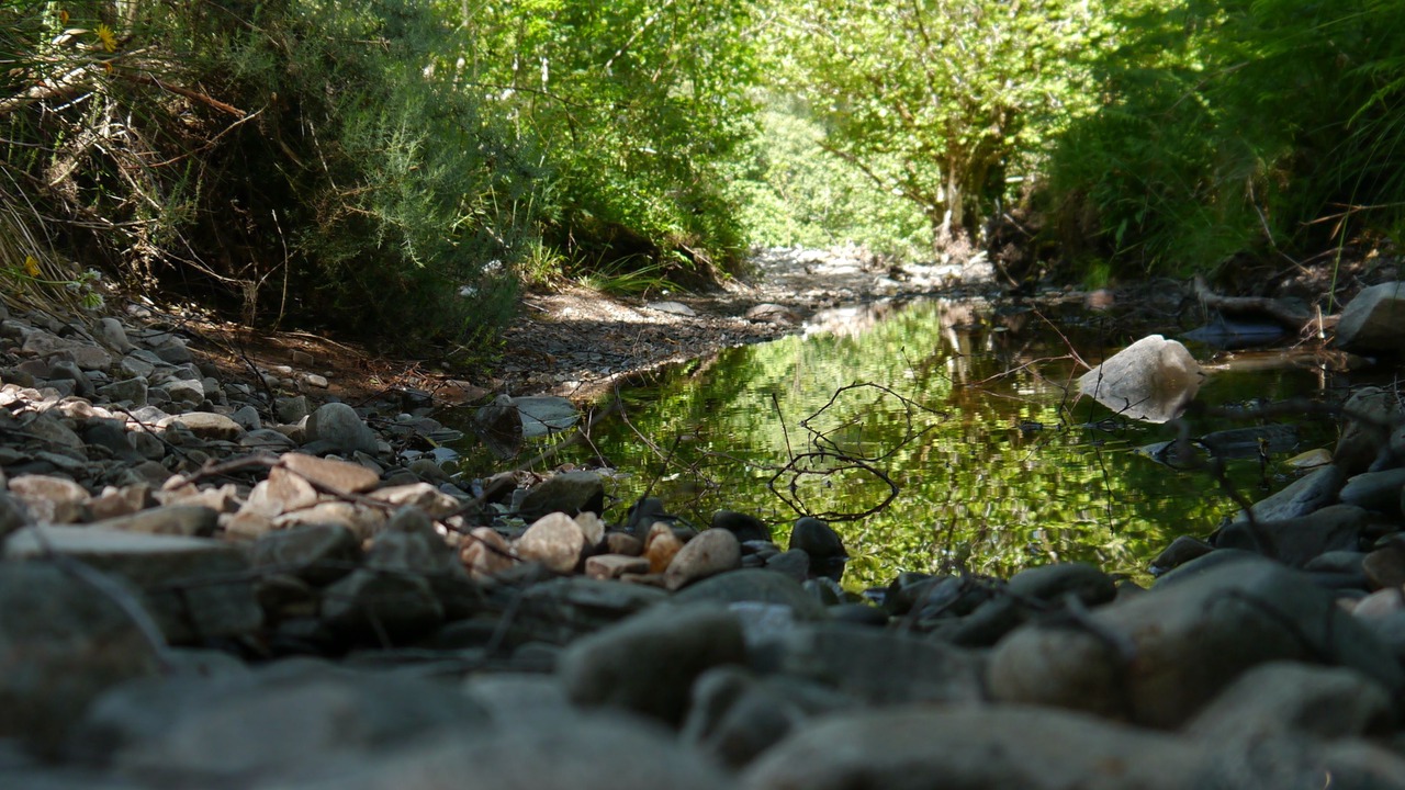 Photo of Outdoor in Braemore