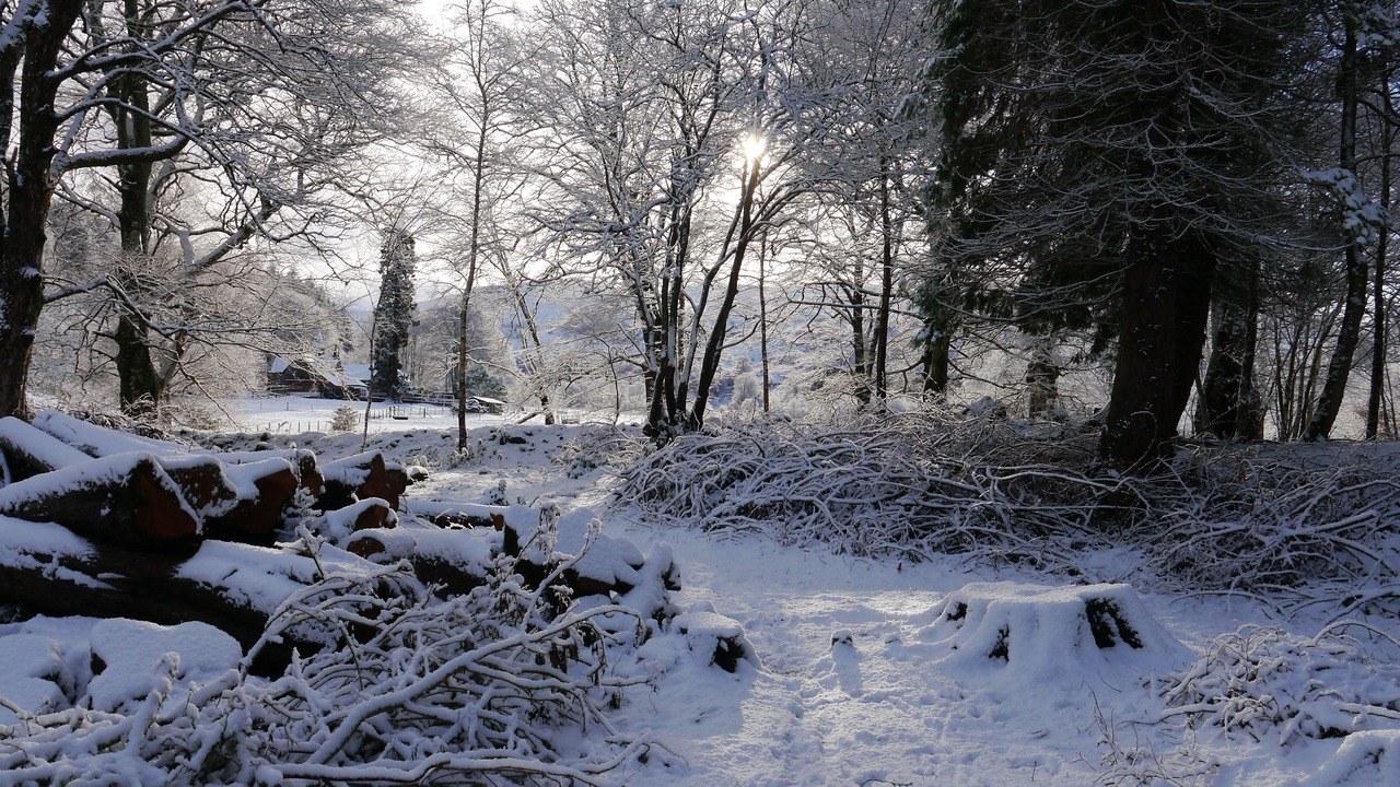 Photo of Outdoor in Braemore
