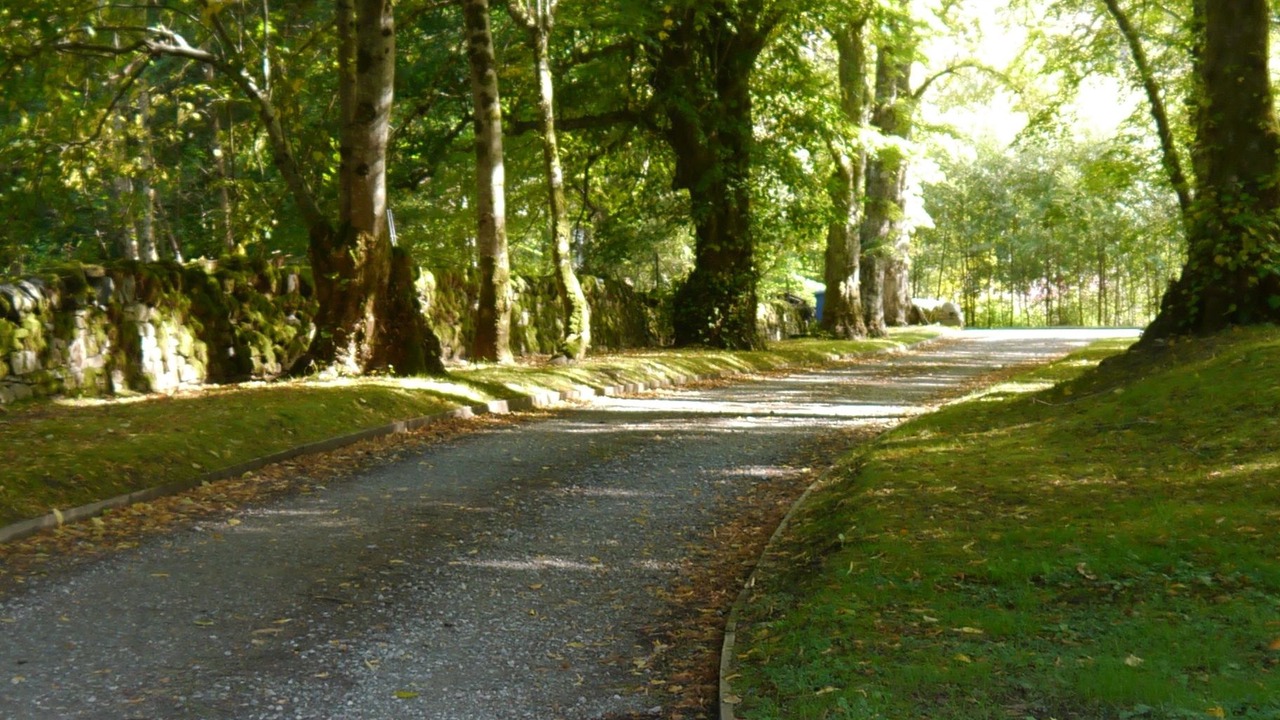 Photo of Outdoor in Braemore