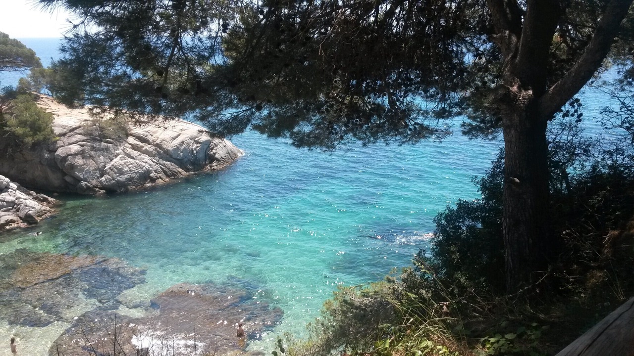Photo of Others in Platja d'Aro