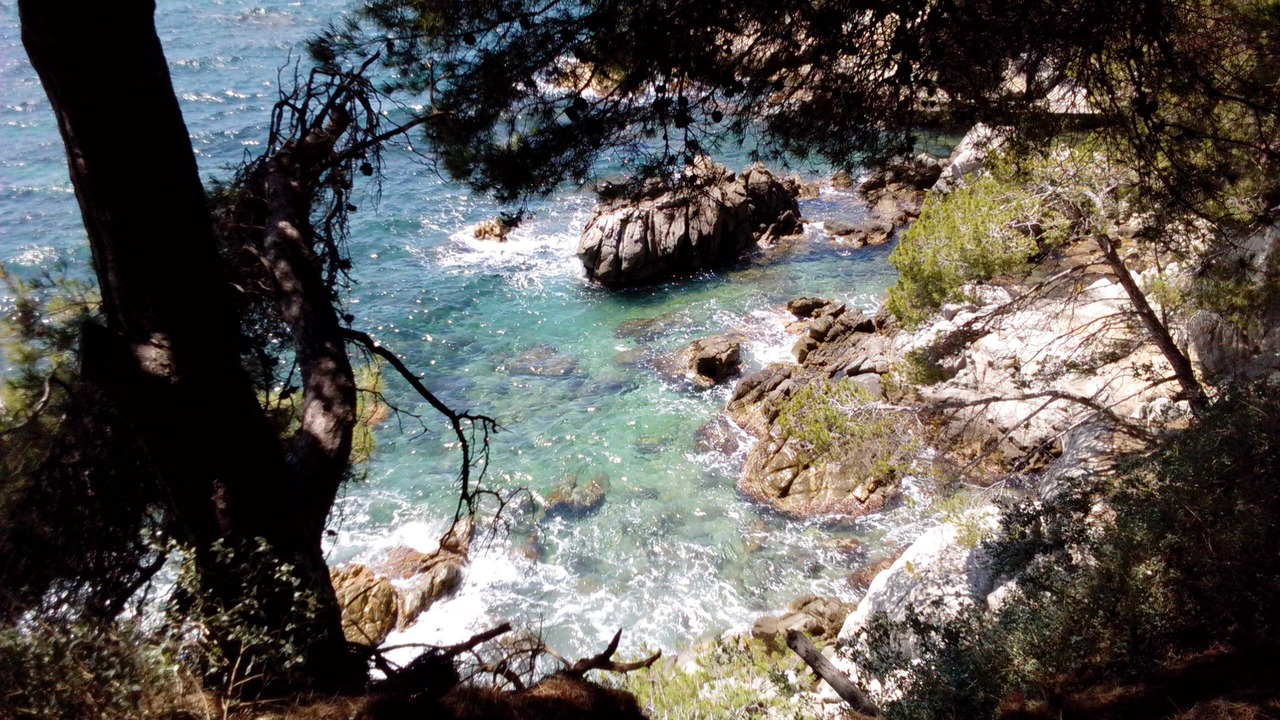 Photo of Others in Platja d'Aro