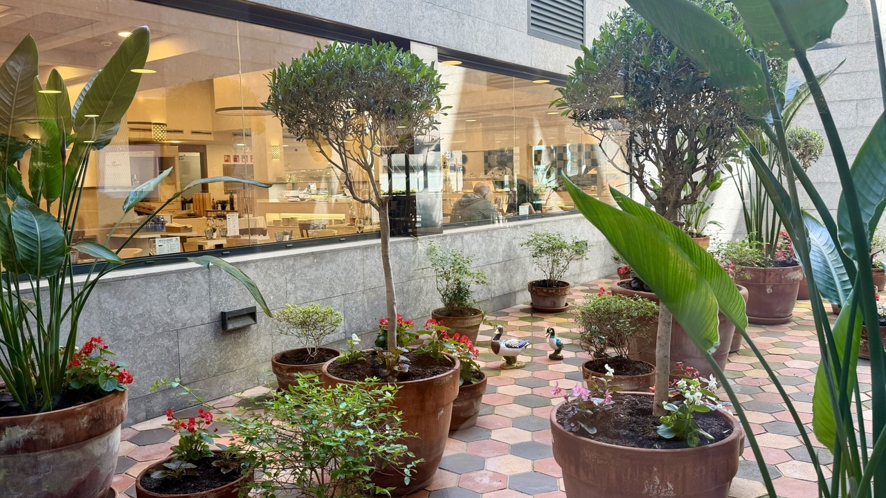 Photo of Outdoor in Lloret Town Center