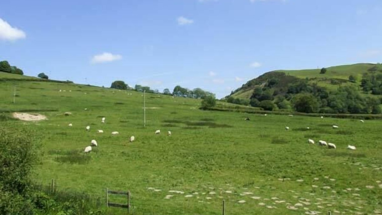 Photo of Others in Knighton