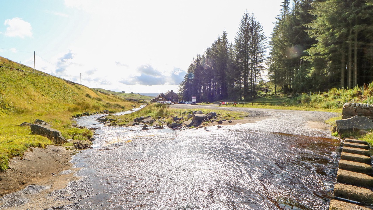 Photo of Others in Lanehead