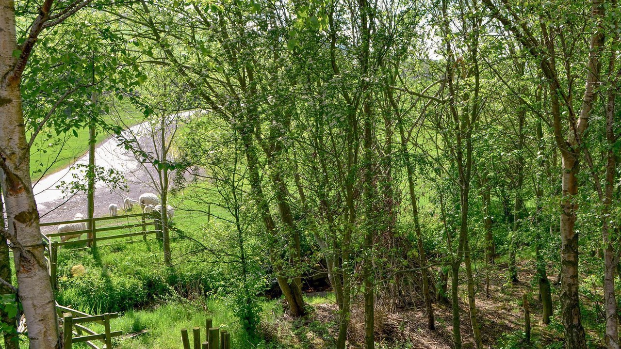 Photo of Outdoor in Cornhill on Tweed