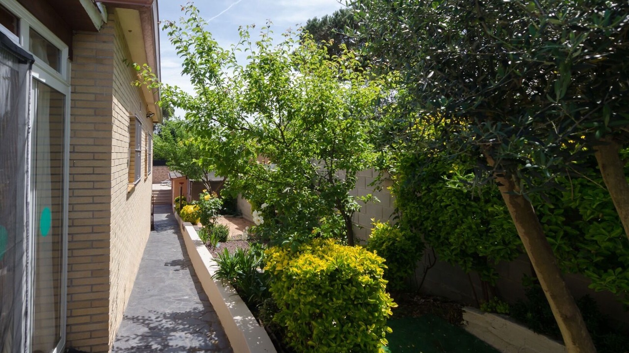 Photo of Outdoor in La Goba